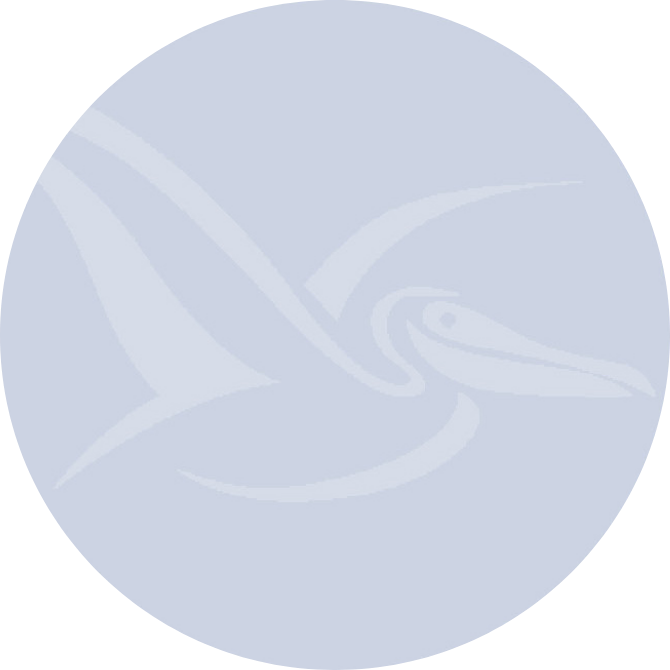 Pelican Worldwide - global support